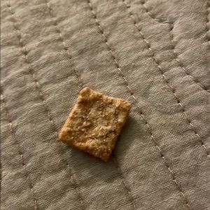 Meet your Posher, Henry